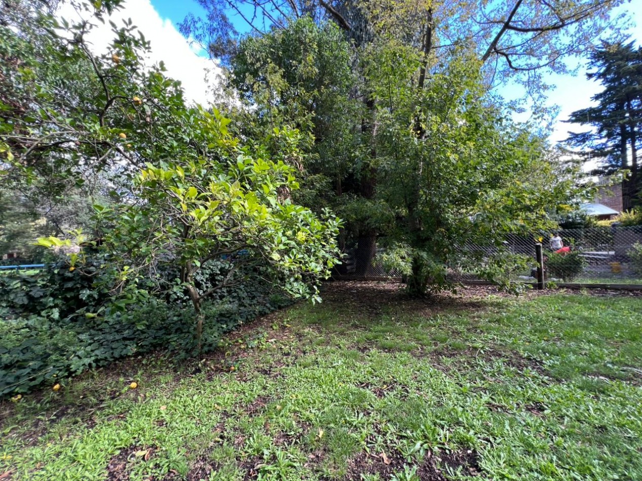 Casa 3 ambientes - Bosque Perealta Ramos