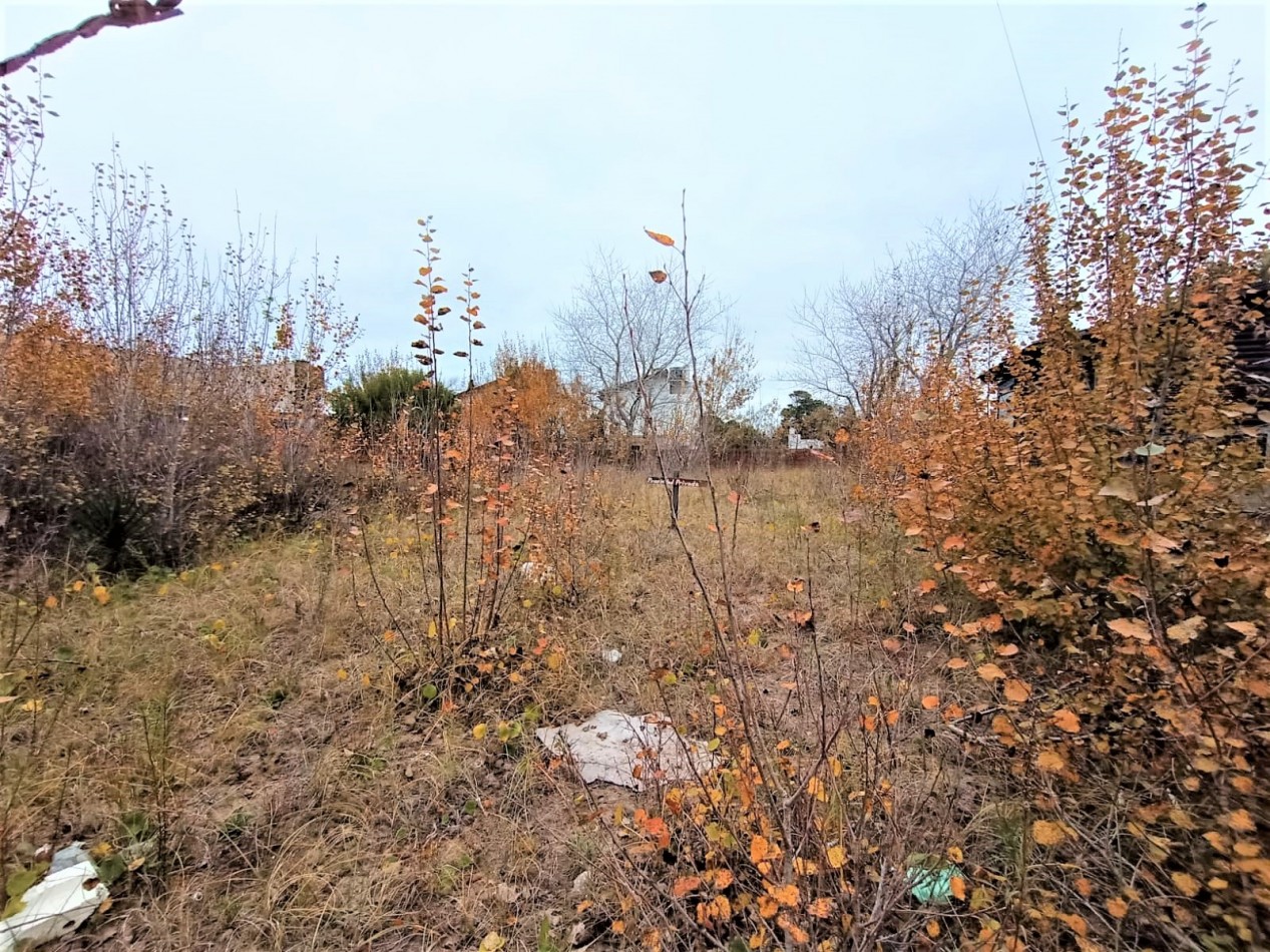 Terreno 
