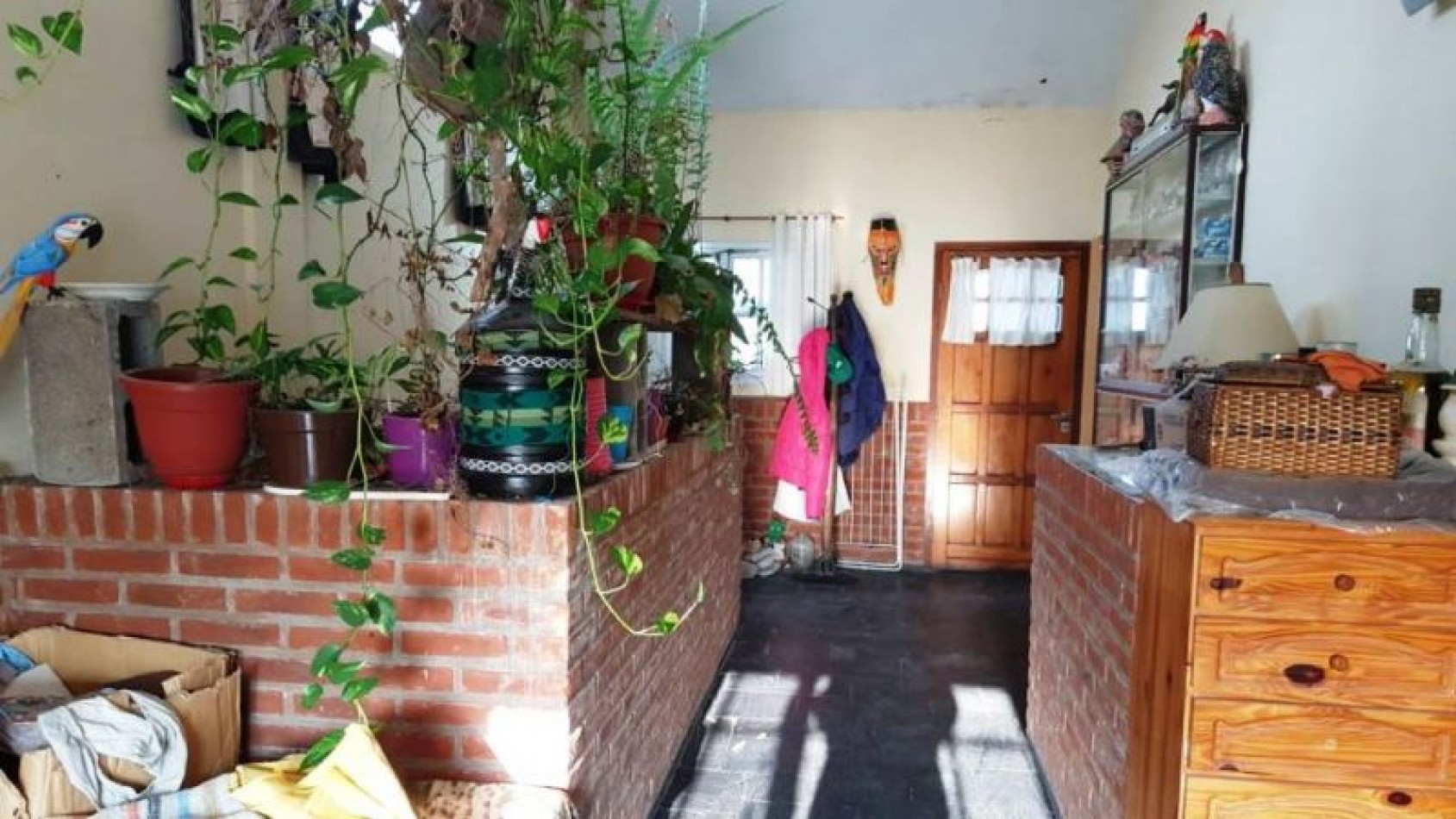 Local con Vivienda 