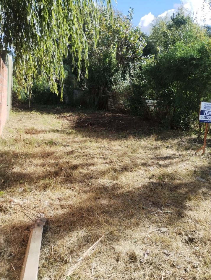 LOTE DE 10 MTS DE FRENTE X 22 MTS DE FONDO APROX.