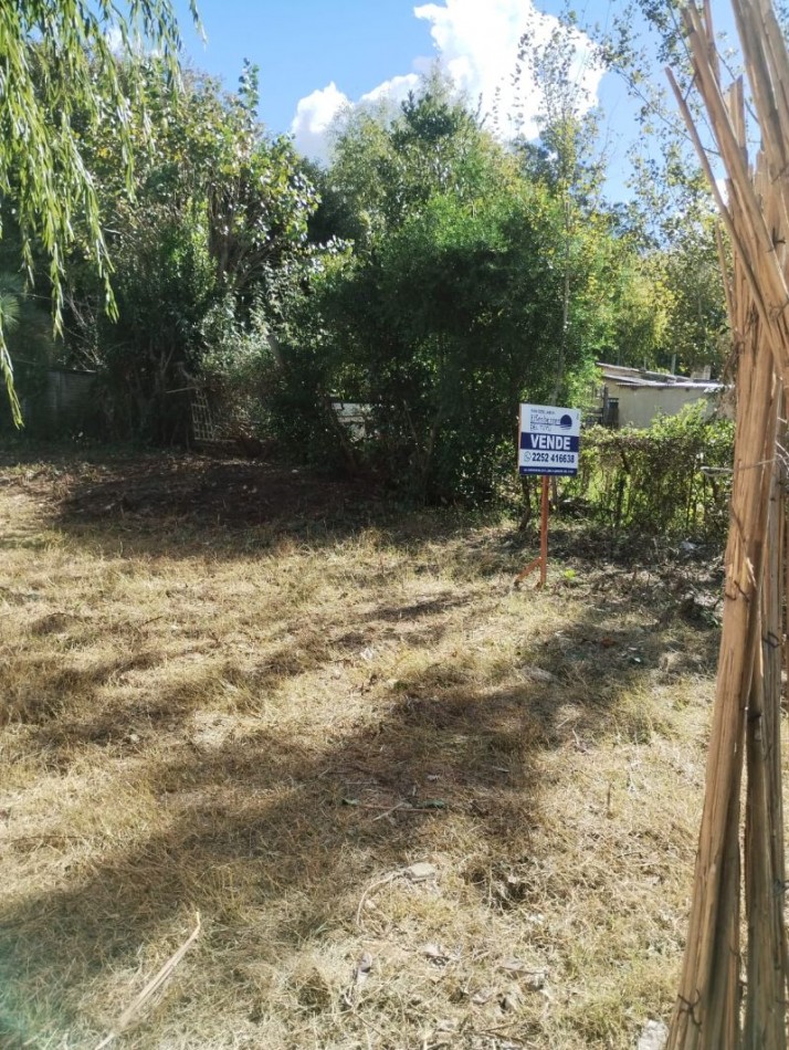 LOTE DE 10 MTS DE FRENTE X 22 MTS DE FONDO APROX.