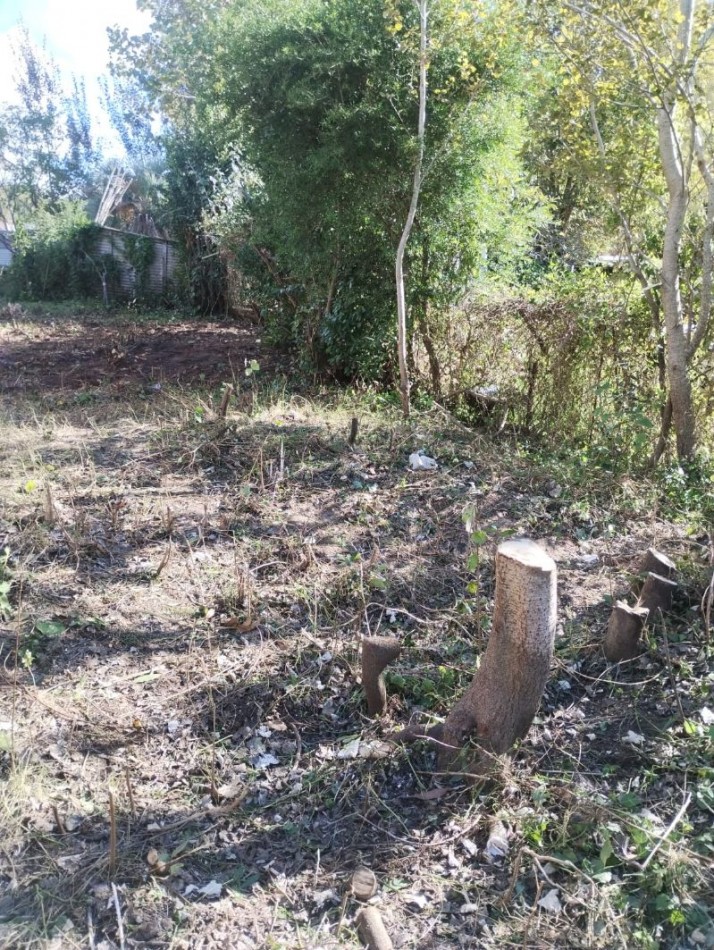 LOTE DE 10 MTS DE FRENTE X 22 MTS DE FONDO APROX.