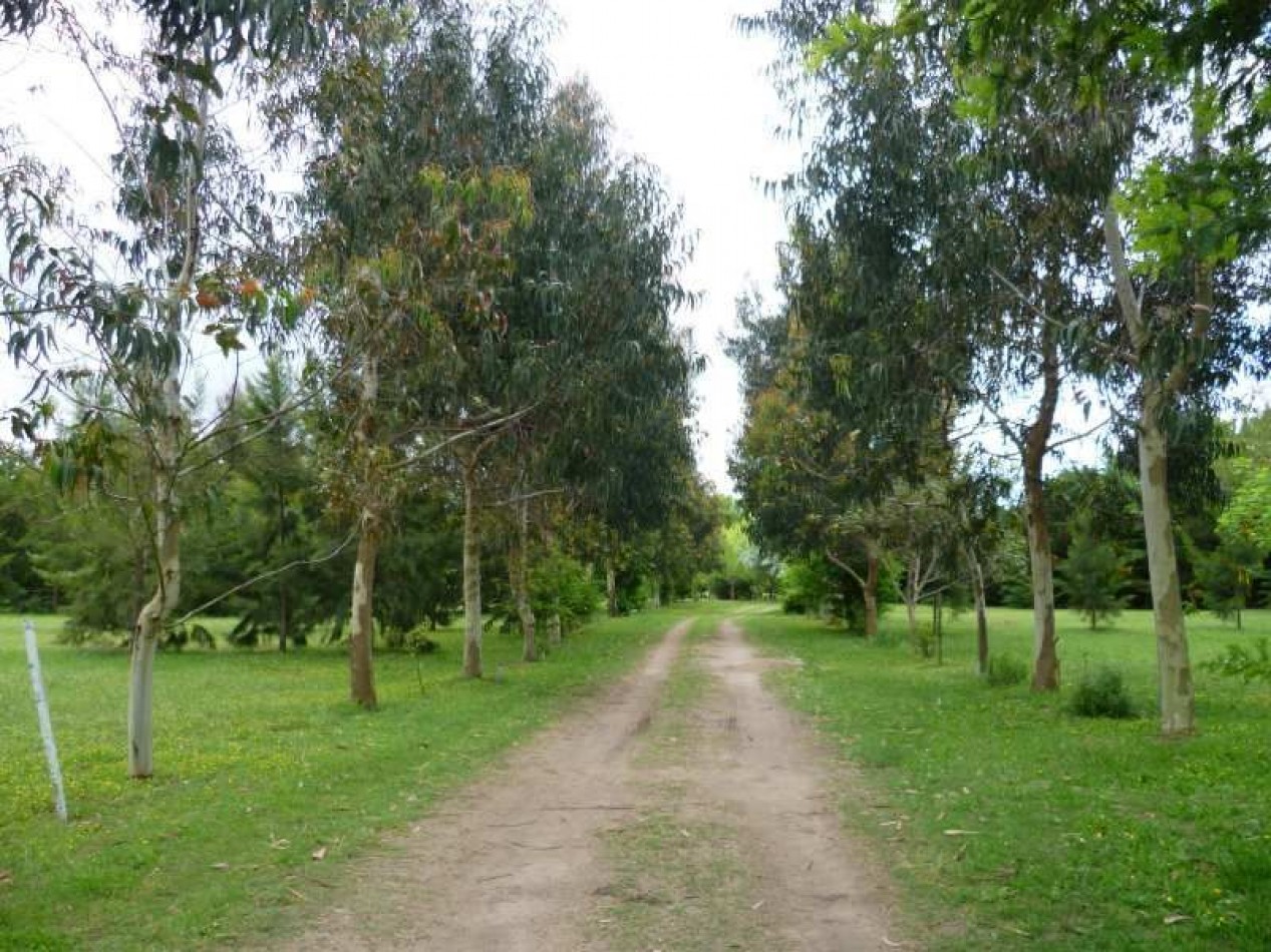 LOTES EN CHACRAS MARINAS (CONDOMINIO RESIDENCIAL )