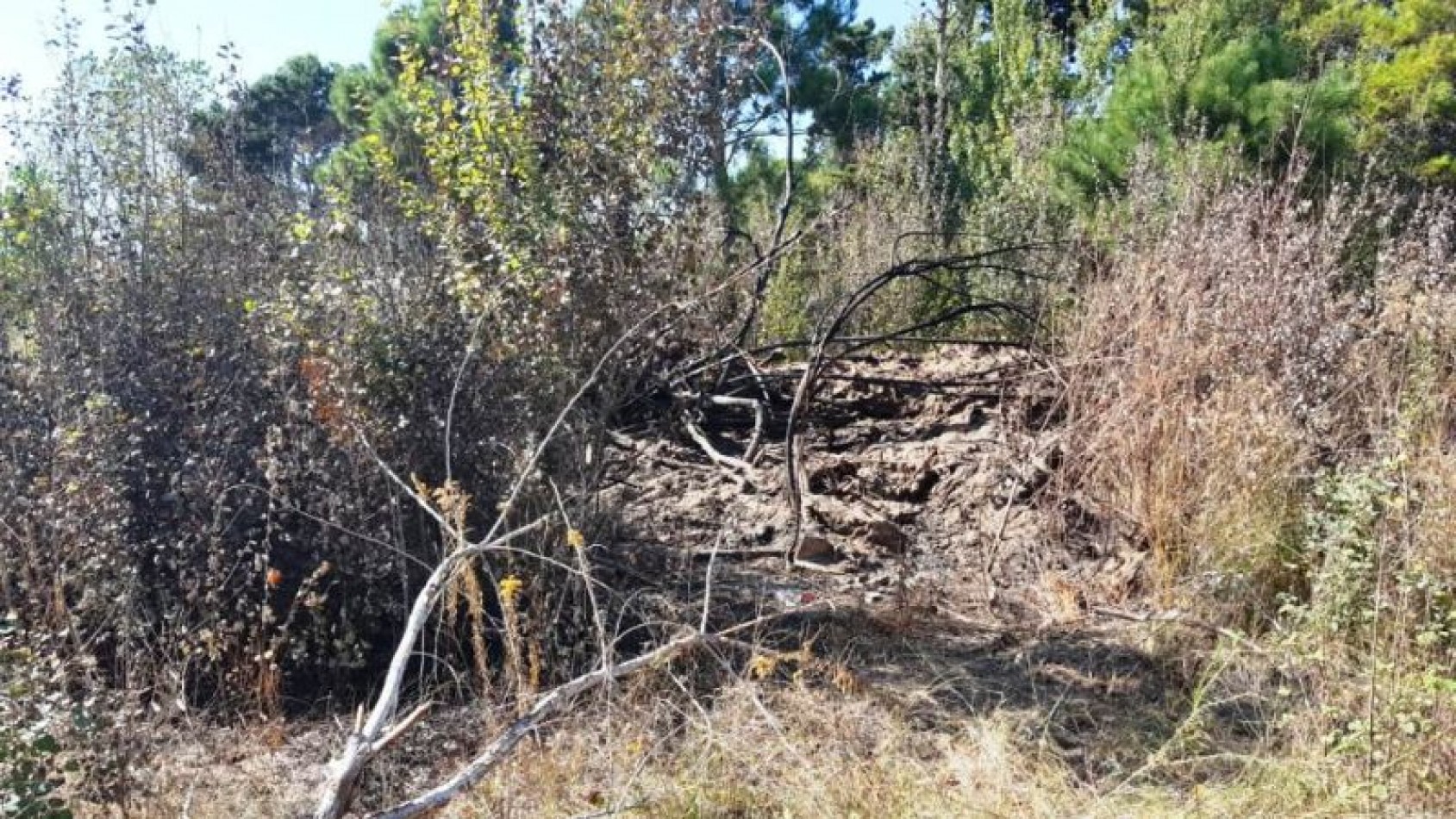 Dos Lotes en Venta, San Clemente del Tuyu
