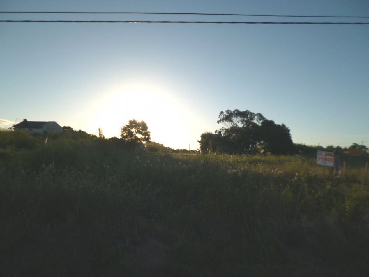 LOTE 20 MTS DE FRENTE X 39,51 MTS DE FONDO 