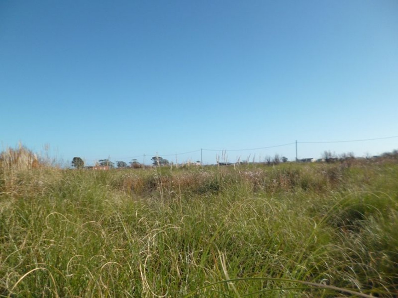 LOTE DE 20X 48 MTS .En Barrio Filsa (Playa Grande).