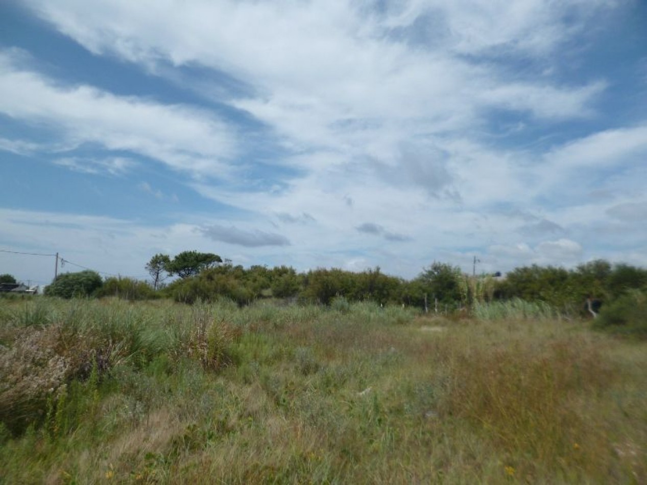 LOTE DE 2O X 40 MTS (A 300 MTS DEL MAR)