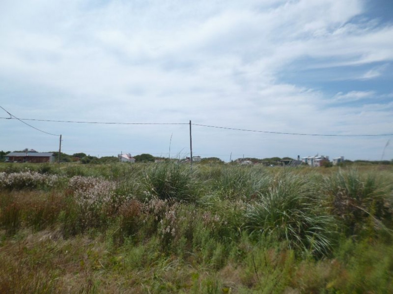LOTE DE 2O X 40 MTS (A 300 MTS DEL MAR)