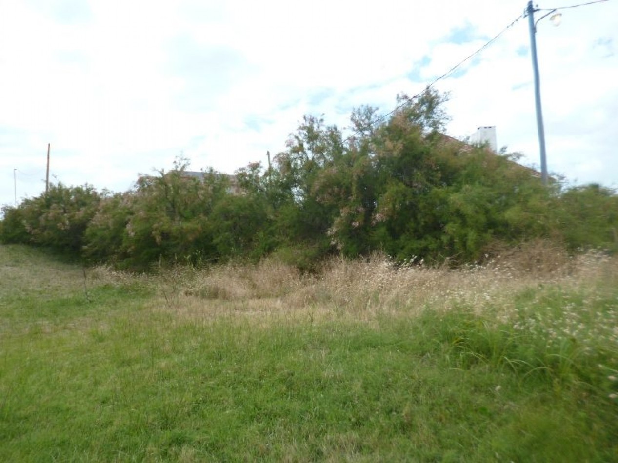 LOTE 20 X 31 MTS (ZONA PLAYA GRANDE )