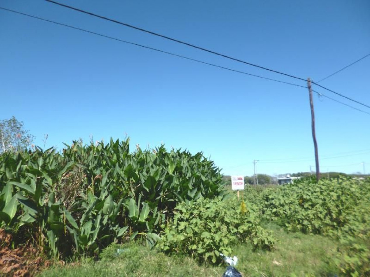 LOTE 10 X 34 MTS 