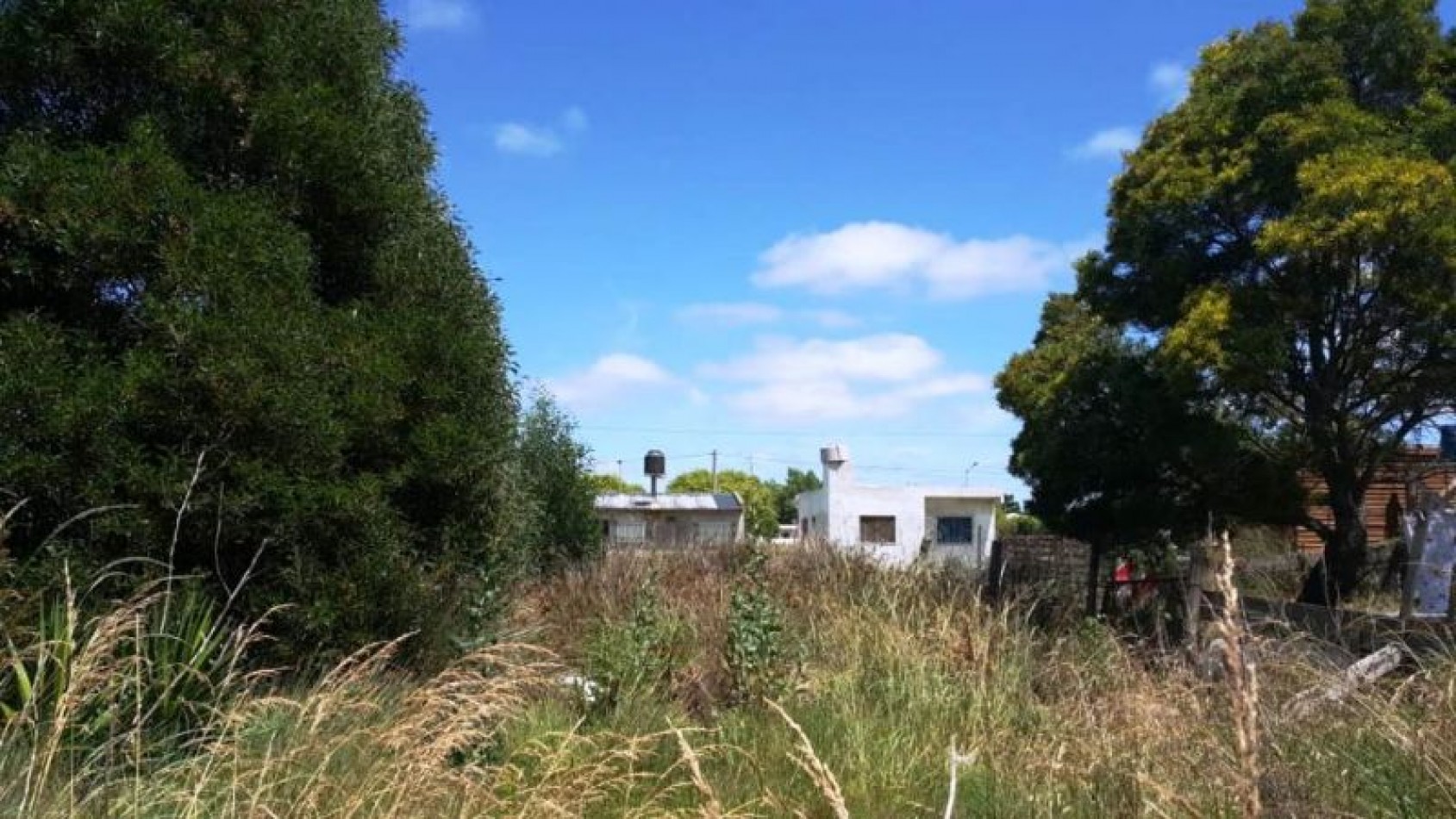 LOTE 10 X 36,25 MTS ZONA OESTE EL TALA 