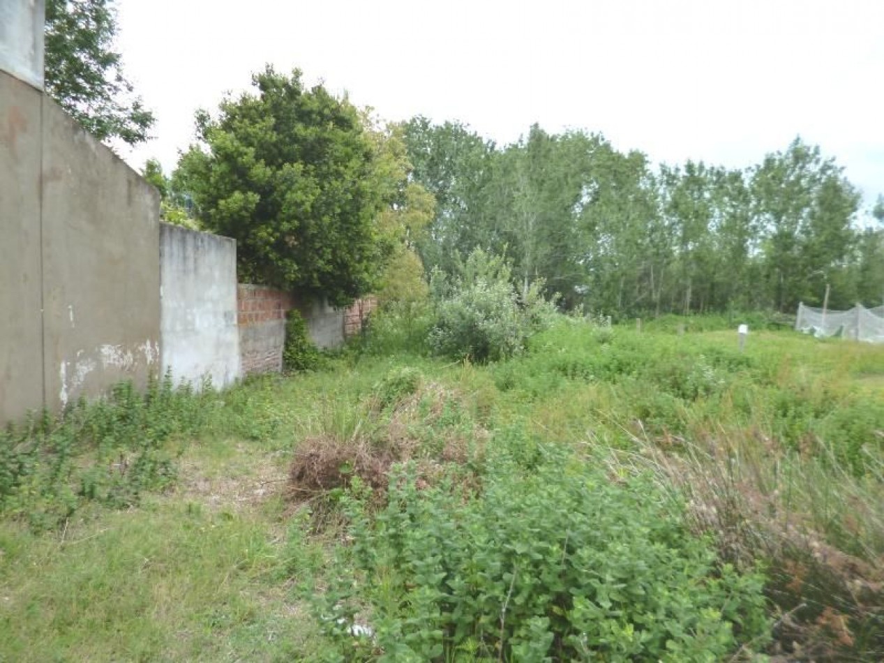 Lote en Venta, Zona acceso Mundo Marino