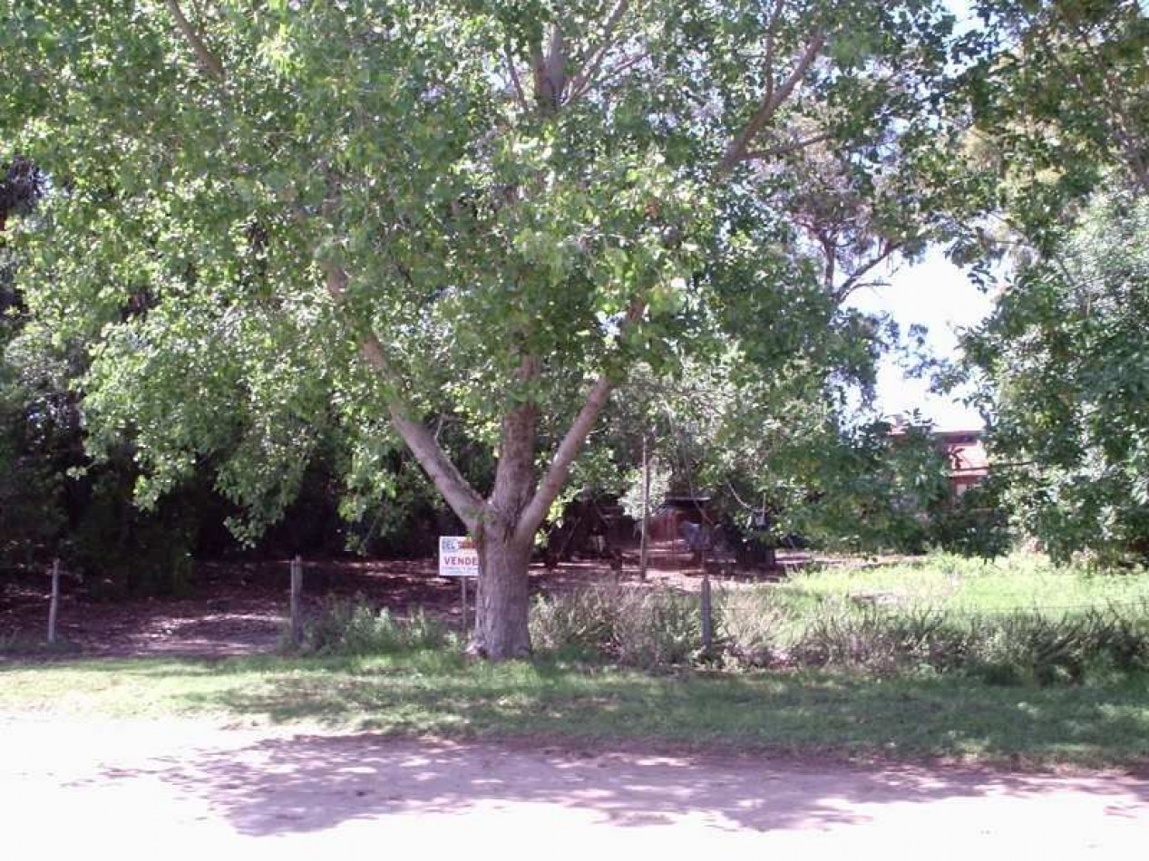 Gran Lote en Venta