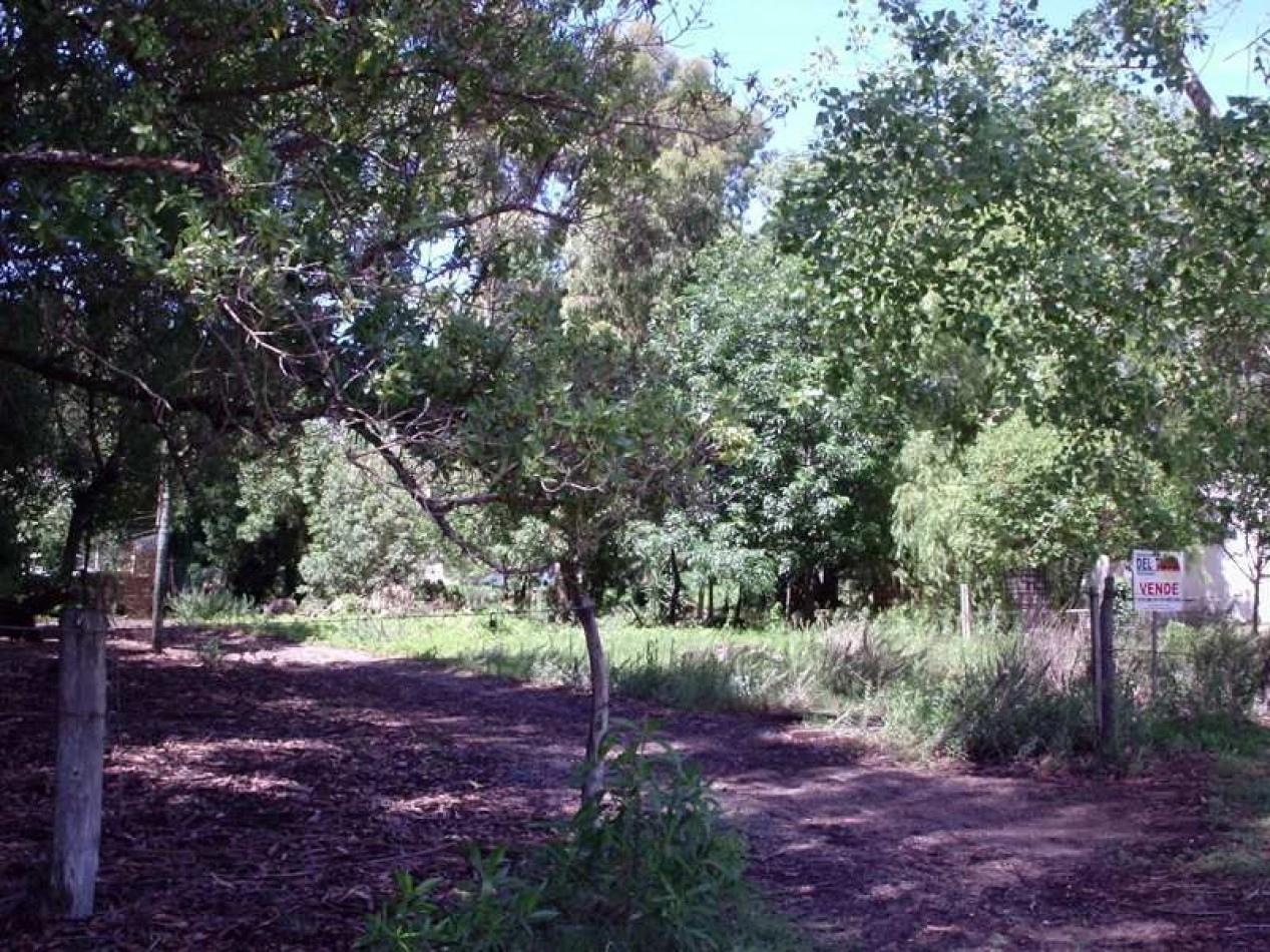 Gran Lote en Venta