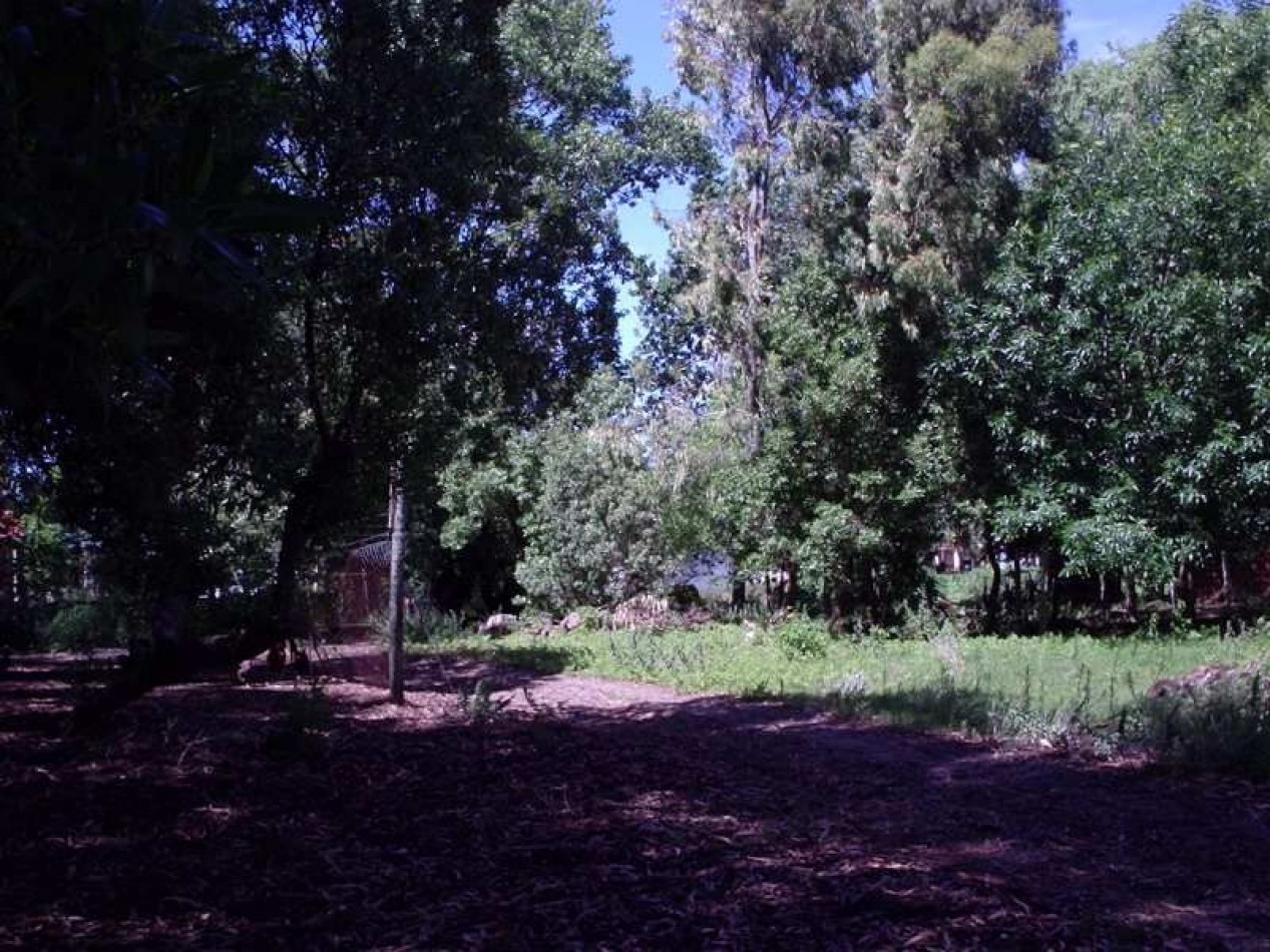 Gran Lote en Venta