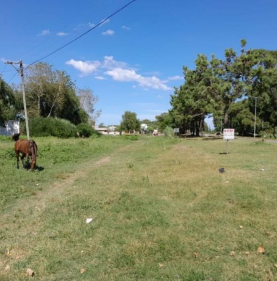Lote en Venta