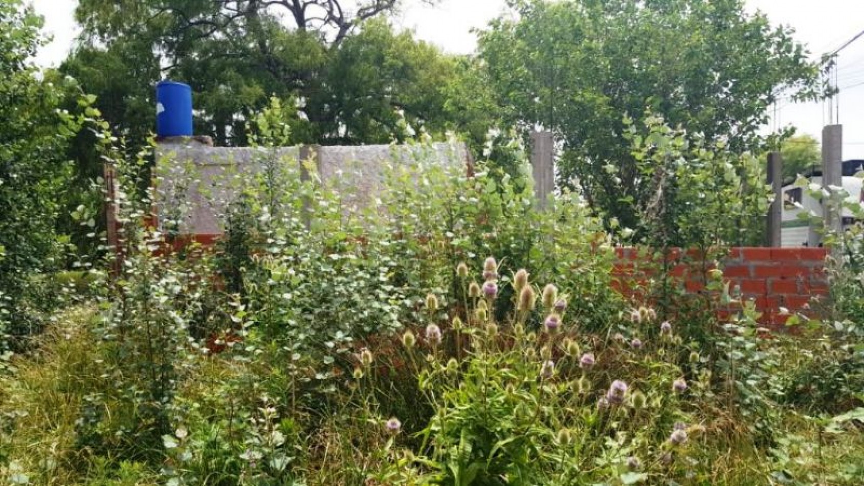 Lote en Venta, cercano al centro