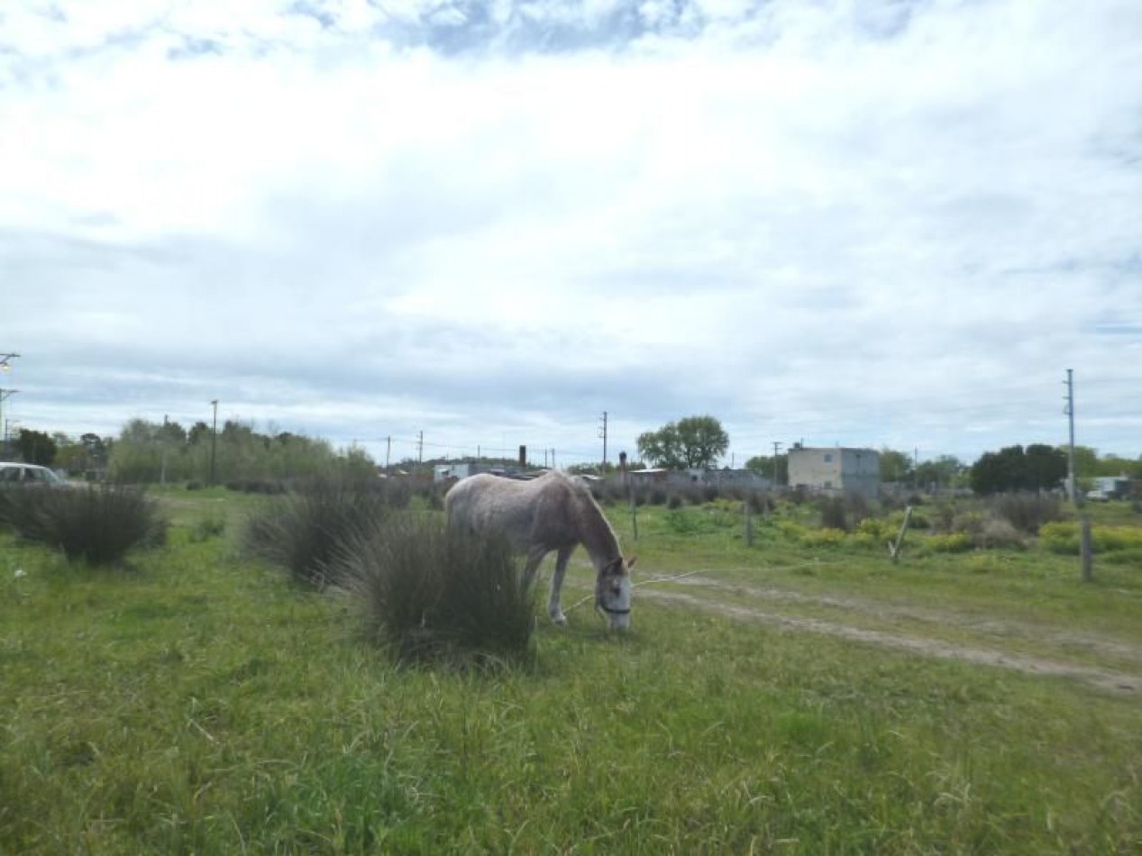 Lote en Venta