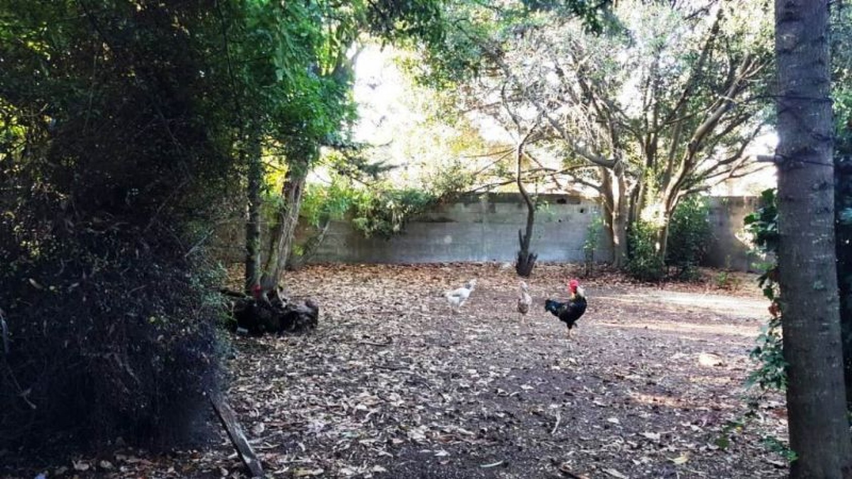 Terreno en Venta, gran oportunidad