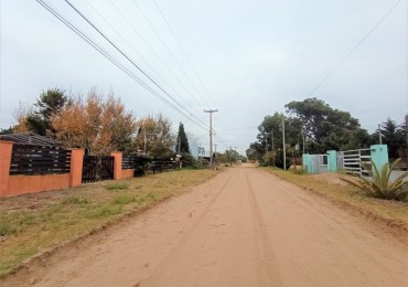 Terreno 