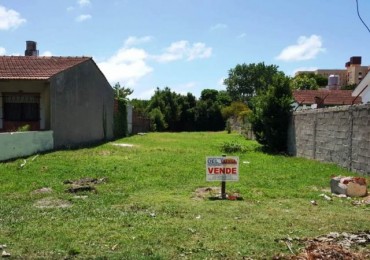 LOTE DE 10 X 48,82MTS ZONA EL TALA