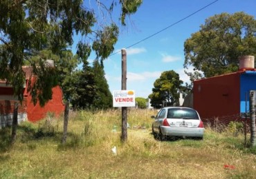 LOTE 10 X 36,25 MTS ZONA OESTE EL TALA 